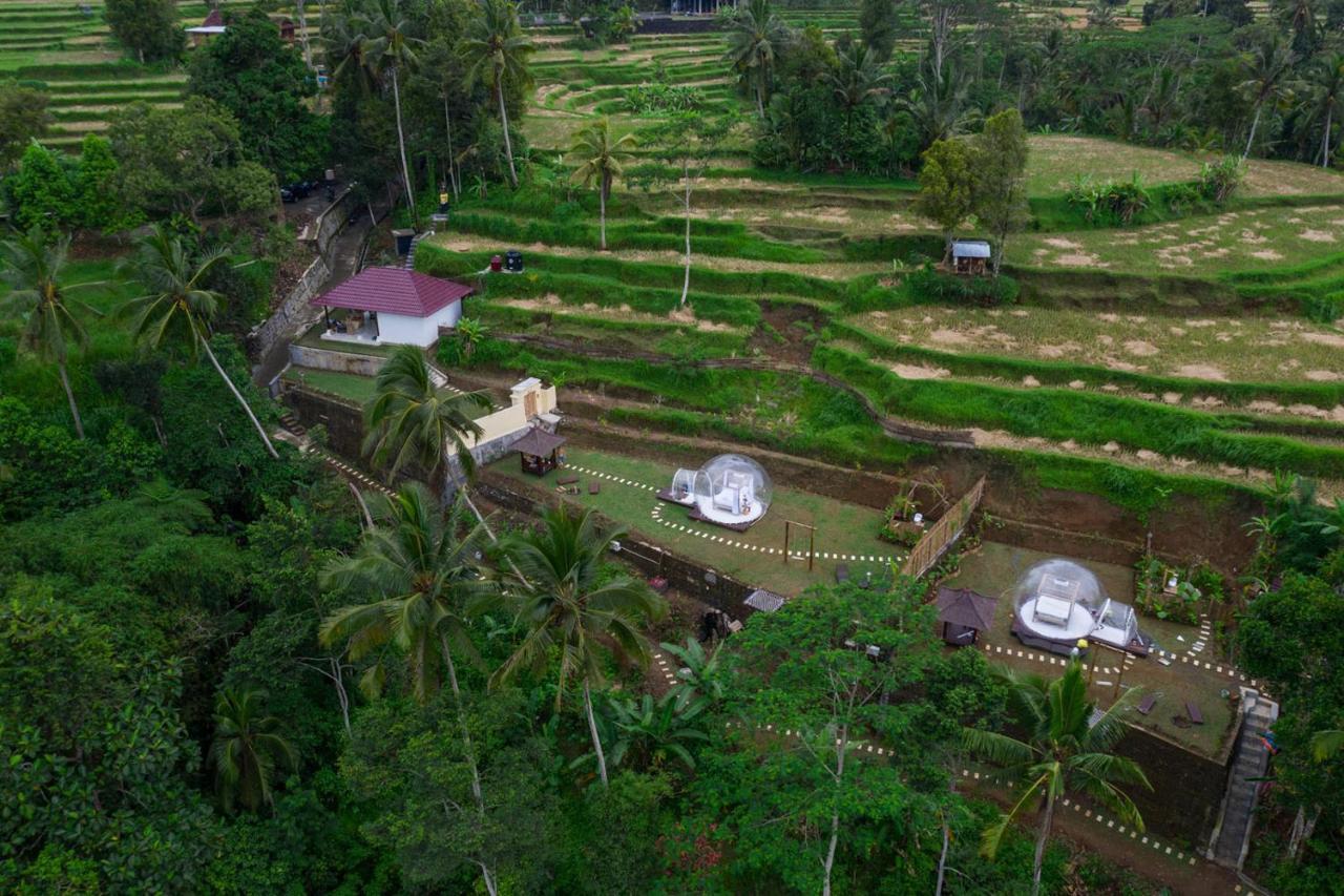 Bubble Hotel Ubud Паянган Экстерьер фото